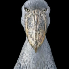 Юра Автономов, 25.03.1982, Санкт-Петербург