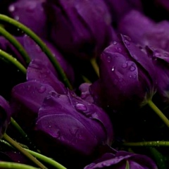 Марина Гакаева, 25.10