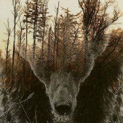 Владимир Иванов, 19.06.1976, Санкт-Петербург