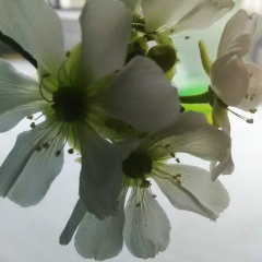 Виталик Удалов, 15.02