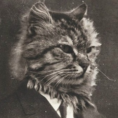 Алексей Затулик, 08.03.1989, Москва