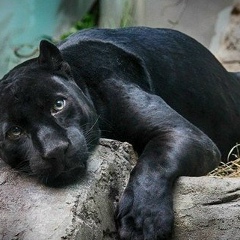Жанна Шахназарова, 30.08, Sharm el-Sheikh