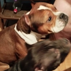 Сергей Рыбенков, 01.07, Воронеж