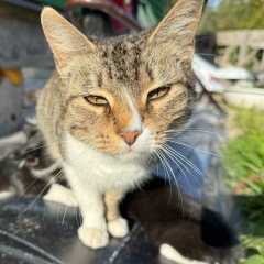 Денис Кузнецов, 16.10