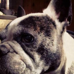 Аркадий Елагин, Москва