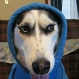 Сергей Черепанов, 25.04, Санкт-Петербург