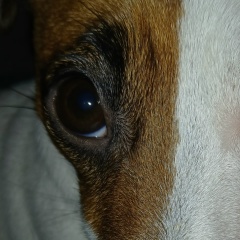 Lyuda Pospelova, 29.12.1987, Москва