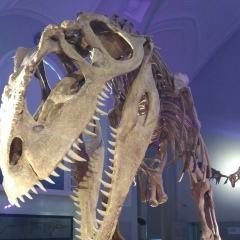 Ириша Смолова, 17.12.1984, Москва