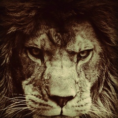 Назар Кулматов, Бишкек