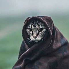 Андрей Курков, 03.10, Санкт-Петербург