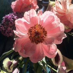 Женя Лемонова, 25.10