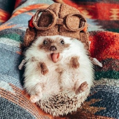 Павел Оськин, 13.07.1983, Павловский Посад