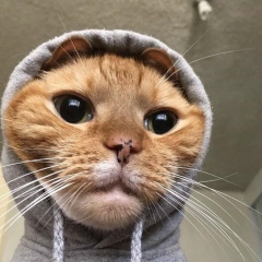 Шамиль Гаджиев, 21.04.1992, Кизляр