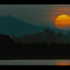ေမာင္ႏြယ္ ရင့္တမူး