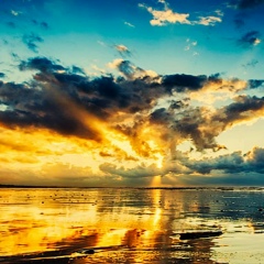 Андрей Суриков