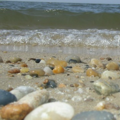 Елена Суворова