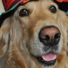 Александра Штаус, 15.04.1987, Караганда