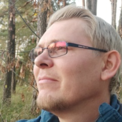 Максим Сорокин