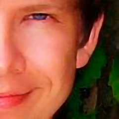 Илья Апальков, 11.01.1983, Ярославль