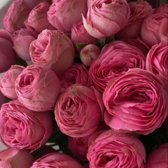 Амира Звездная, 15.09