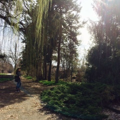 Saltanat Meimankulova, 26.06, Алматы