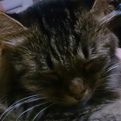 Маргарита Иванова, 05.06, Петропавловск-Камчатский