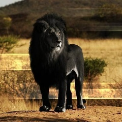 Василий Еськов, 12.12, Харьков