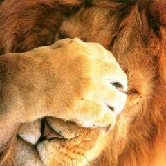 Сергей Иванов, 07.12.1901