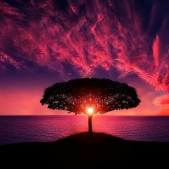 Катрин Катрин, 16.10, Москва