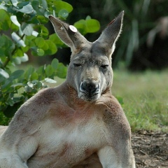 Алёнка Неизвестная, 28.01.1994, Днепр (Днепропетровск)