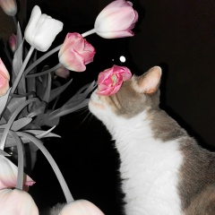 Мария Ермолаева, 03.03, Казань