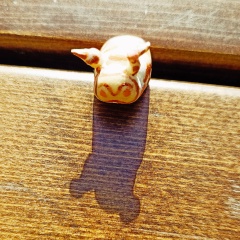 Daria Ogoreltseva, Гатчина