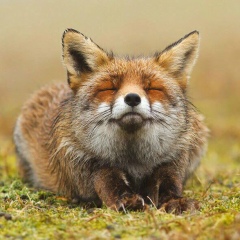 Наталья Юнусова, 12.04.1992, Астана