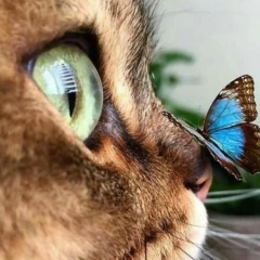 Марина Сорокина, 03.11.1986, Москва