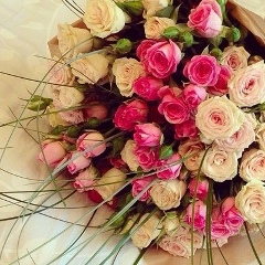 Madina Umaeva, 17.01.1995, Wien