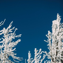 Александр Васильев, Чебоксары