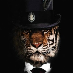 Sabuhi Agcayev, Баку