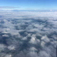 Ирина Билюшова, 26.04.1988, Новосибирск