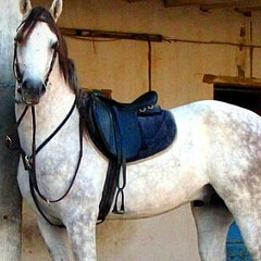 Гурбан Исаев, 01.10, Астана