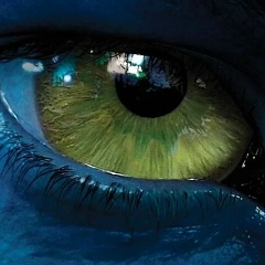 Александр Б, Успенское