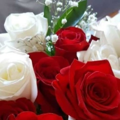 Gulnaz Toleeva, 10.07.1992, Шымкент