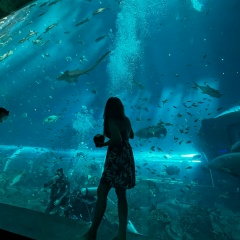 Гульмира Мусина, Актау