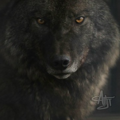 Александр Завьялов, 16.02