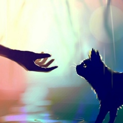 Алексей Федоровский, 03.04.1984