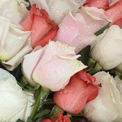 Найля Уалханова, 24.10.1999