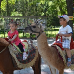 Zakira Shahanova, 03.04, Алматы