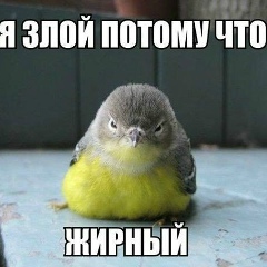 Юрий Веденко, Киев