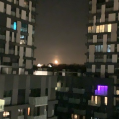 Diyara Turgunbaeva, 16.02, Praha