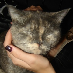 Любовь Голованова, 02.09, Нижний Новгород