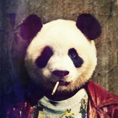 Flying Panda, 02.02.1998, Новомосковск